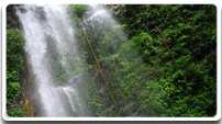 About Parvatha Homestay About Parvatha Homestay