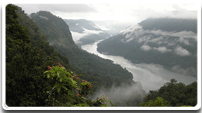 Agumbe