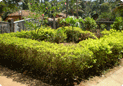 Parvatha homestay