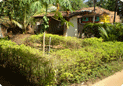 Parvatha homestay