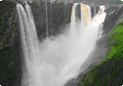 Jog falls