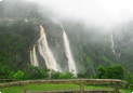 Jog falls