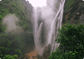 Jog falls