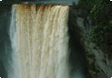 Jog falls