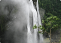Jog falls