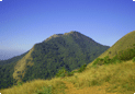 Kodachadri