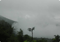 Kodachadri