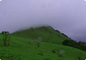 Kodachadri
