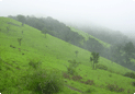 Kodachadri