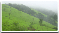 Kodachadri