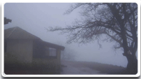 About Parvatha Homestay About Parvatha Homestay