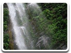 Places around parvatha homestay