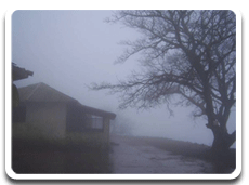 Parvatha homestay photo galler