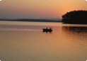 Sharavathi backwater